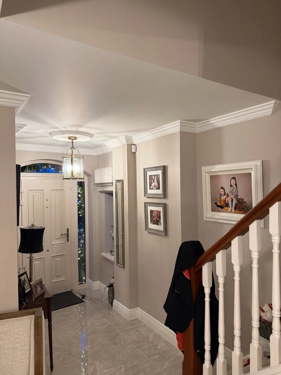 Plaster Mouldings Coving - Image 4