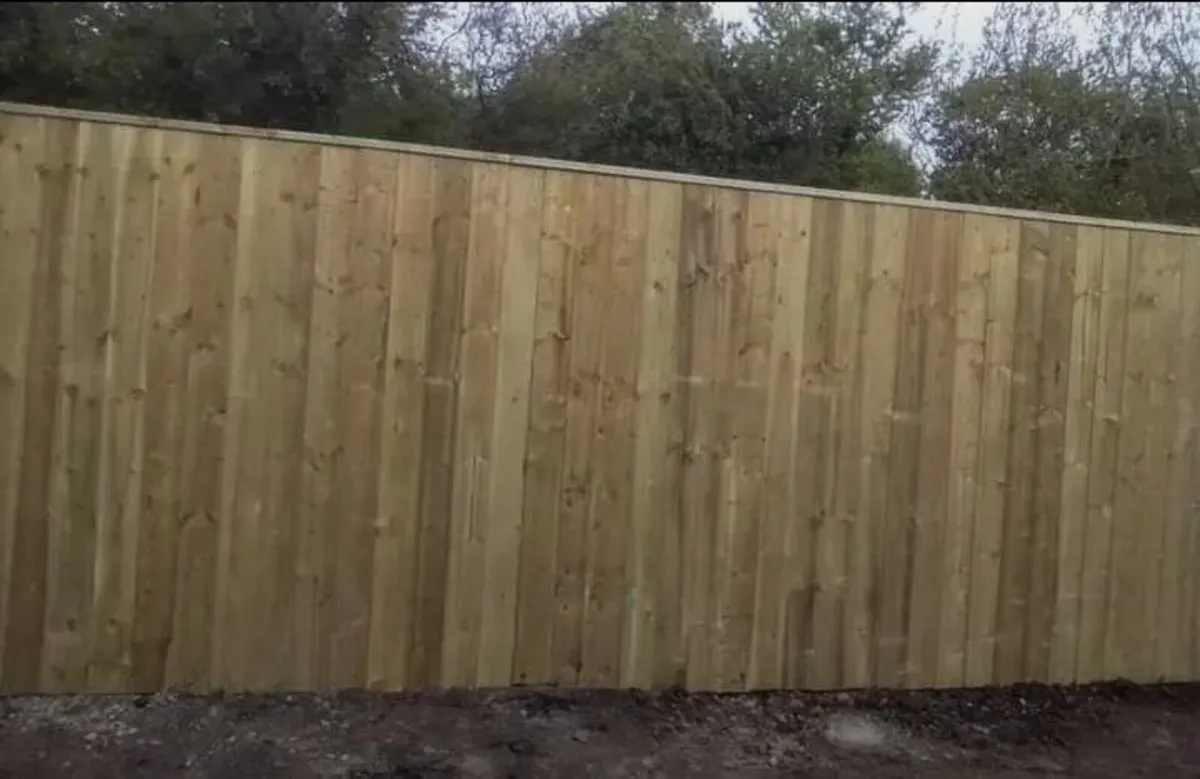 Carpentry Fencing  Decking  Gates - Image 3