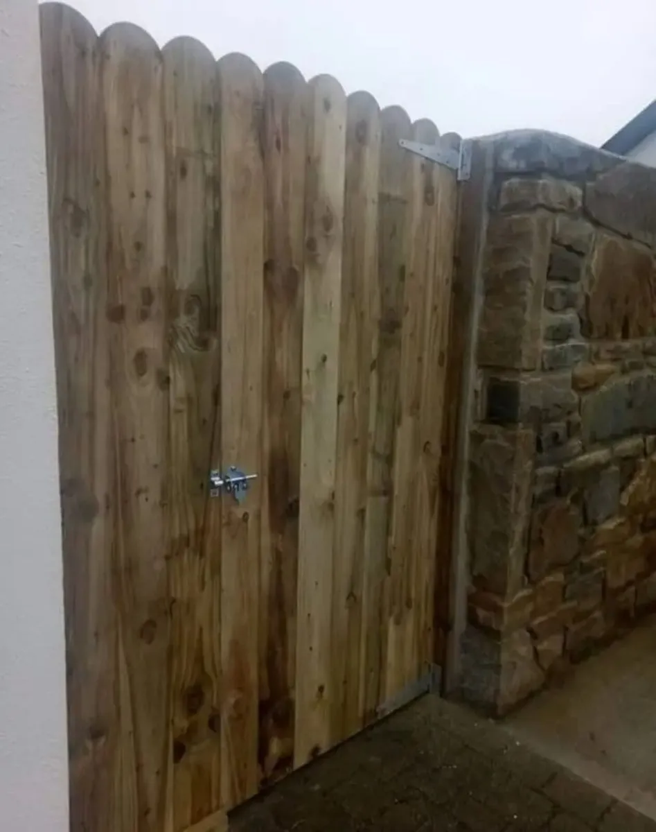 Carpentry Fencing  Decking  Gates - Image 4