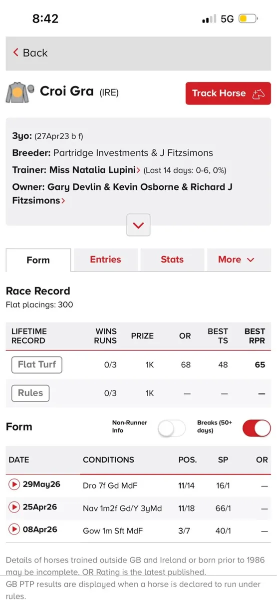 Flat filly with form - Image 3