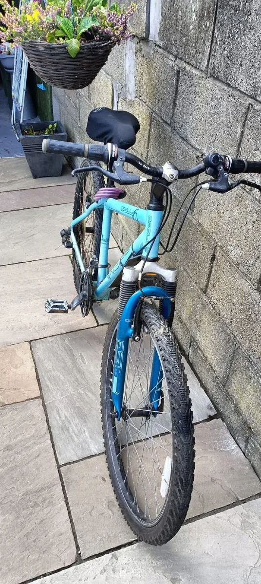 Ladies bicycle - Image 3
