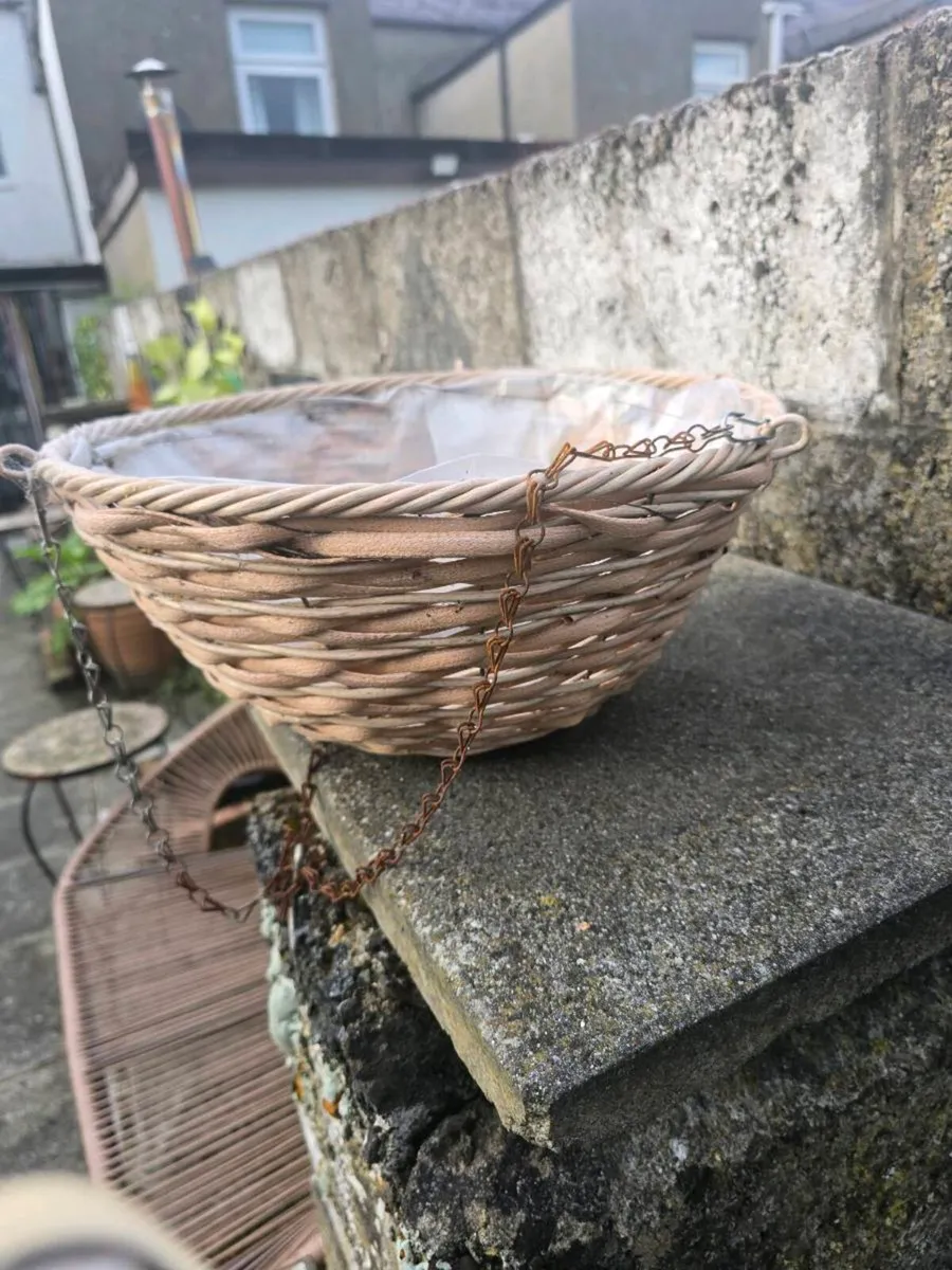 Hanging baskets - Image 1