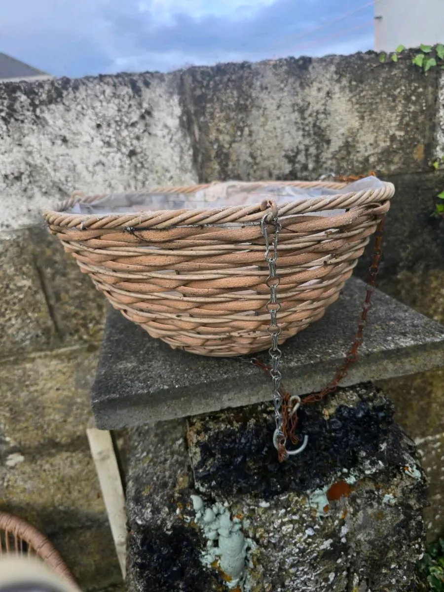 Hanging baskets - Image 2