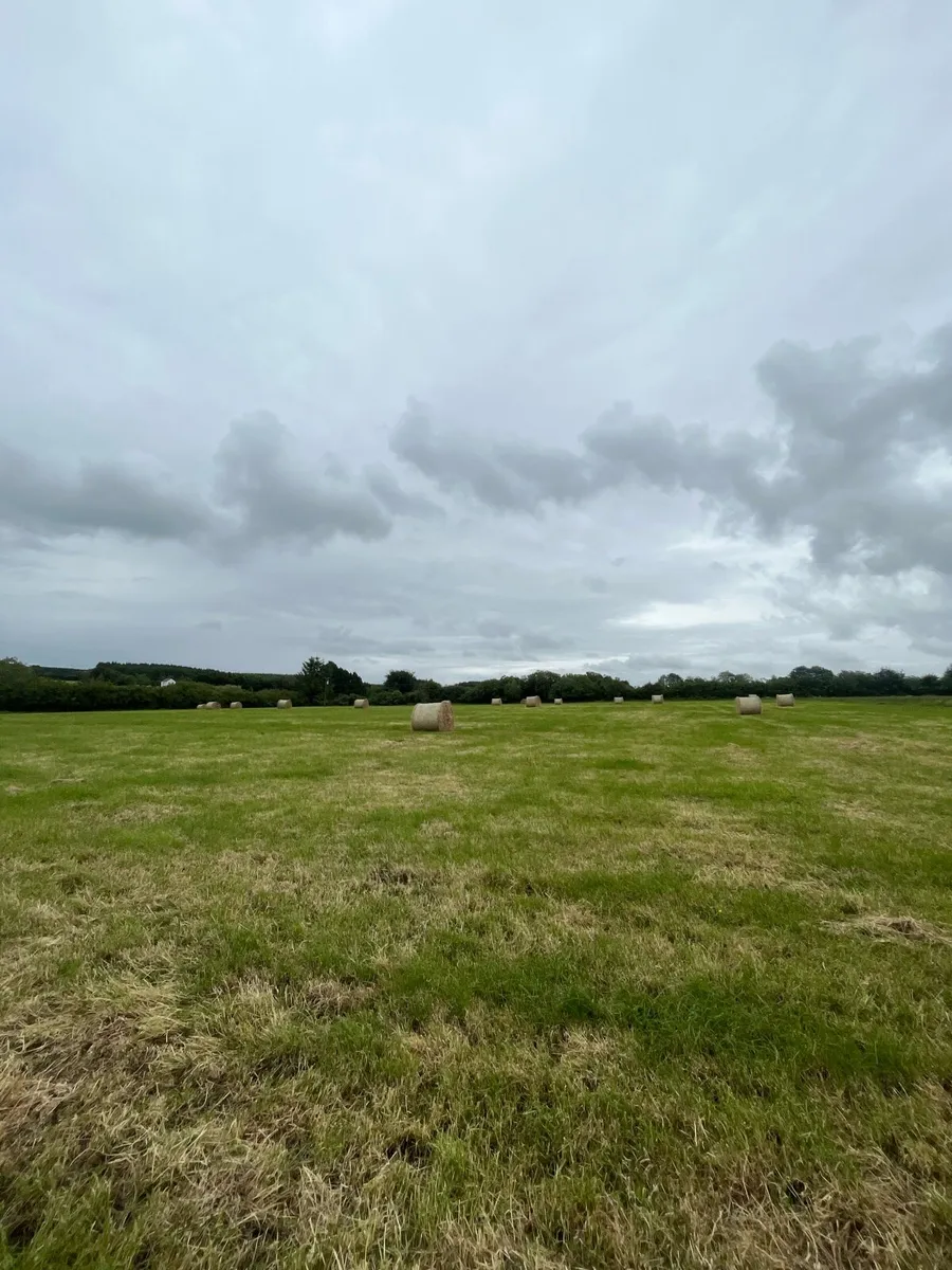 Hay and Silage - Image 2