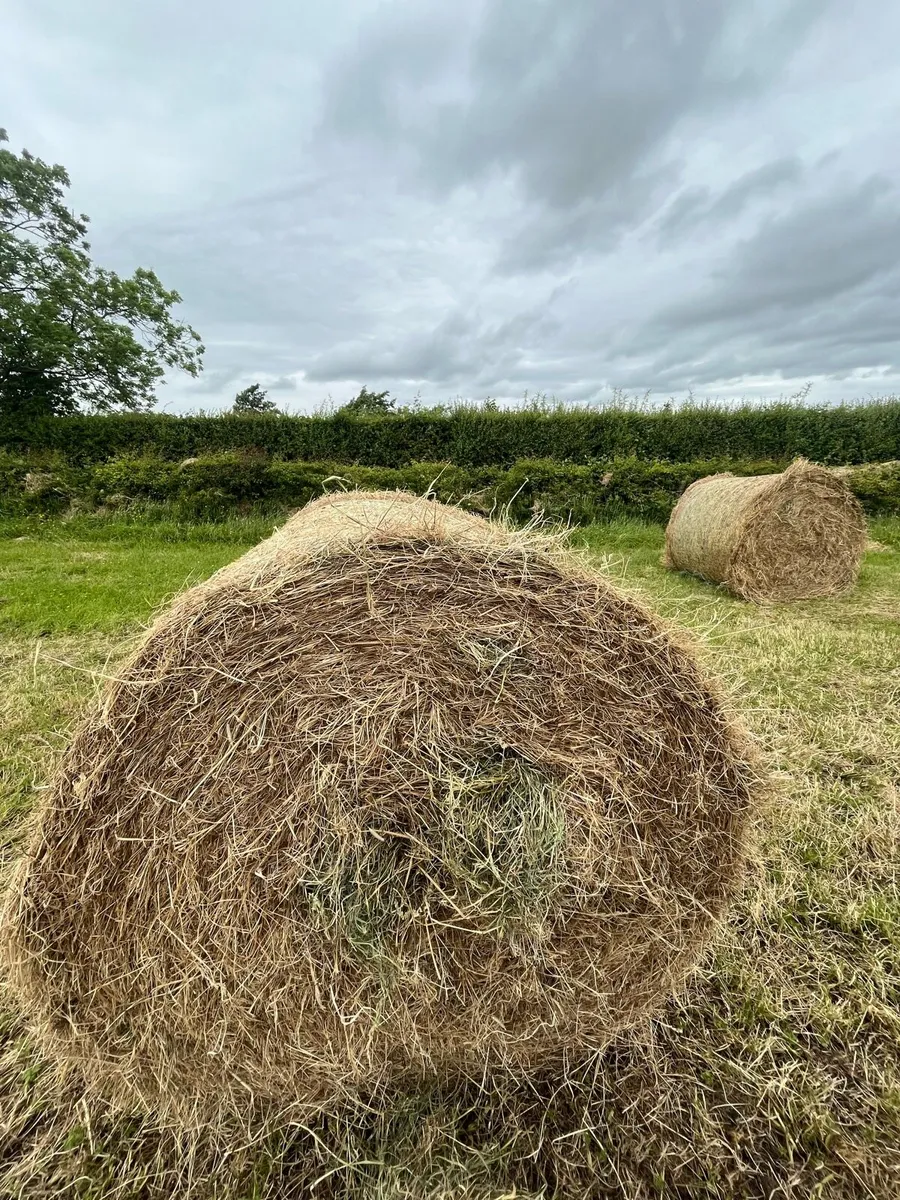 Hay and Silage - Image 3