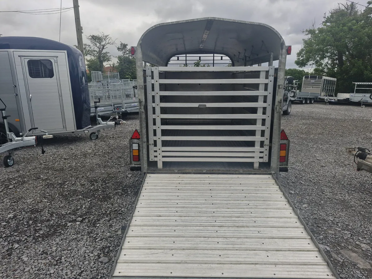 NUGENT  12' x 6'  CATTLE TRAILER - Image 4