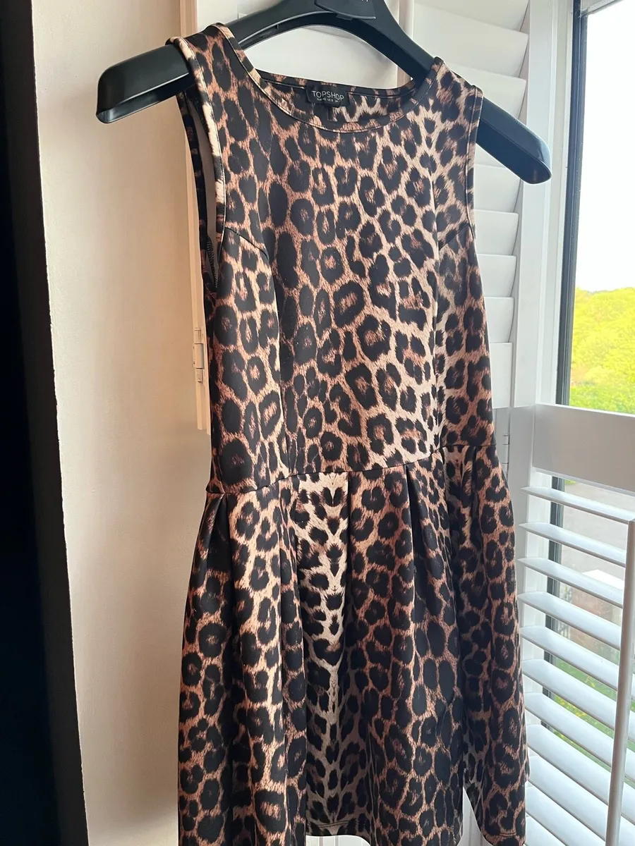 Topshop dress - Image 1