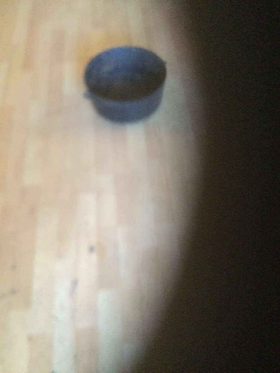 Skillet - Image 3