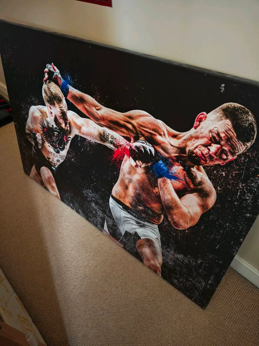 UFC Canvas - Image 2