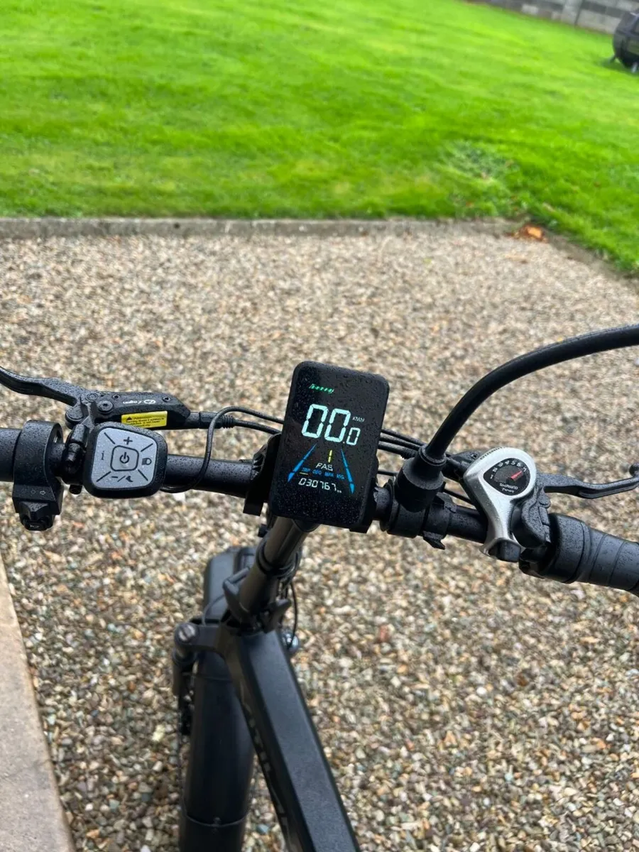 Electric Bike - Image 3