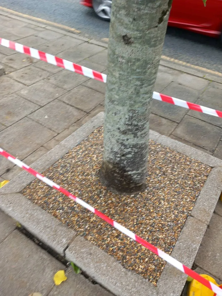 Tree Pits Resin - Image 2