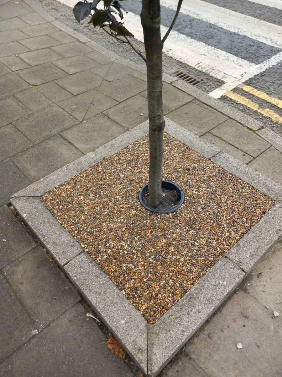 Tree Pits Resin - Image 3