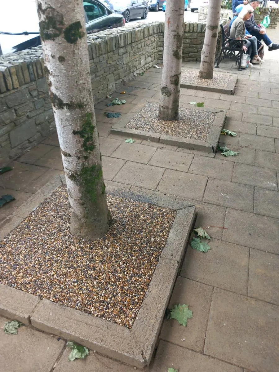 Tree Pits Resin - Image 4
