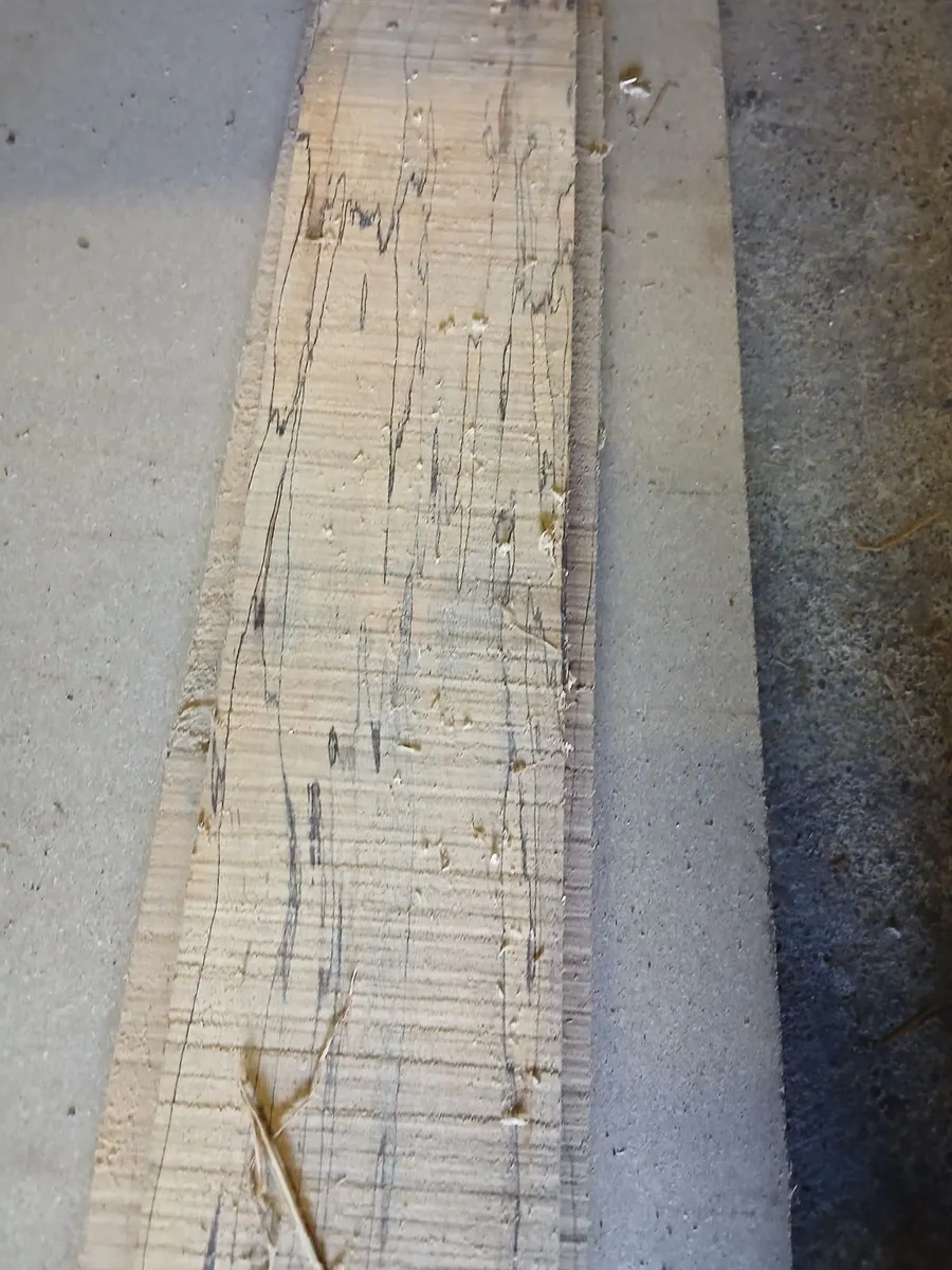 Spalted Beech - Image 1