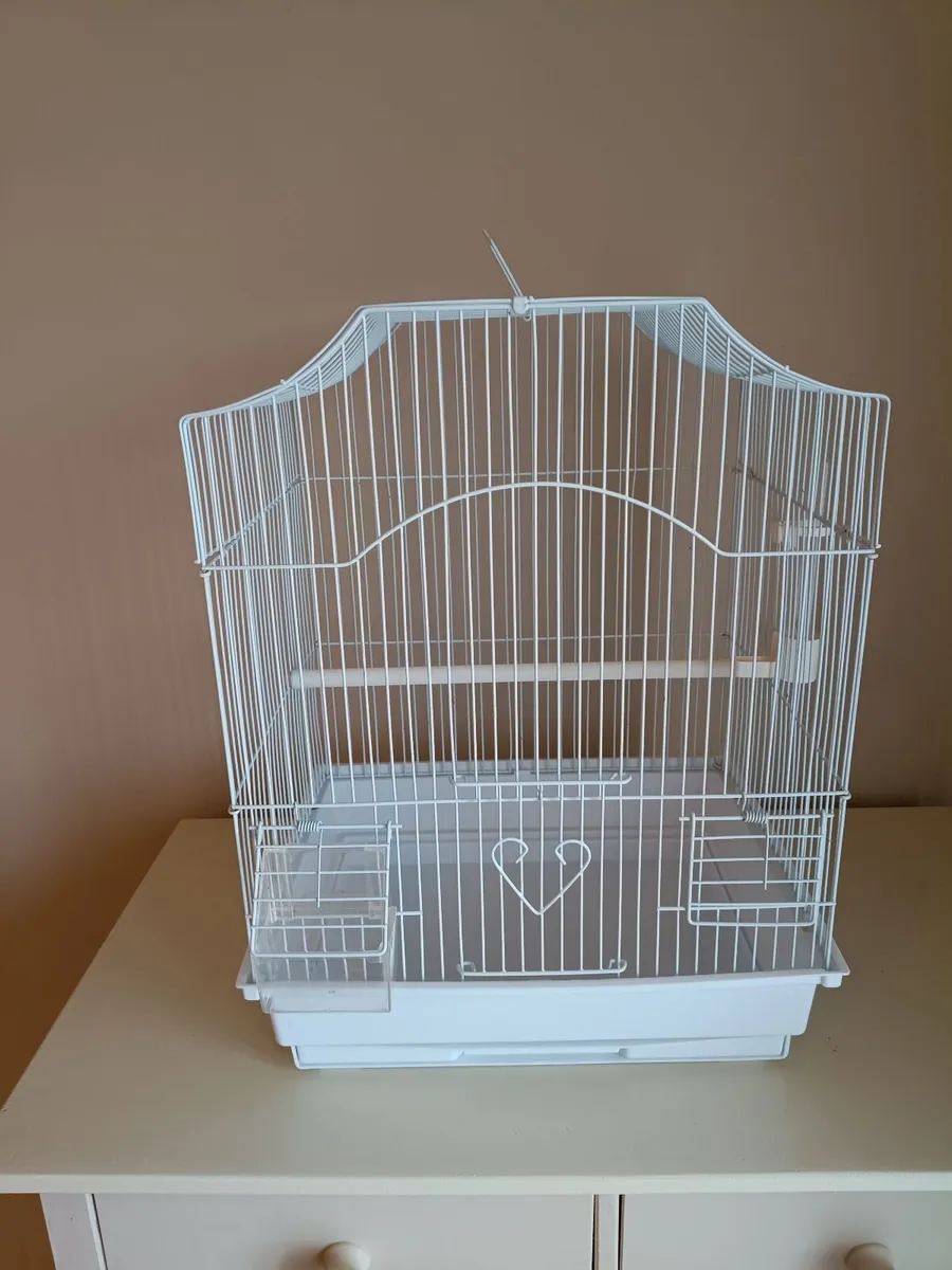 Cage - Image 3