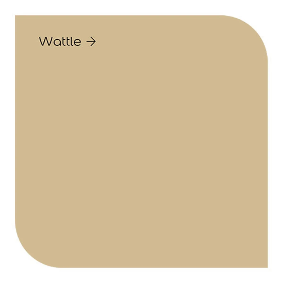 Exterior Paint - Image 4