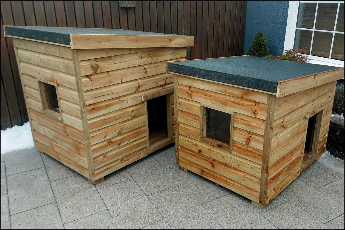 Dog Boxes - Image 3
