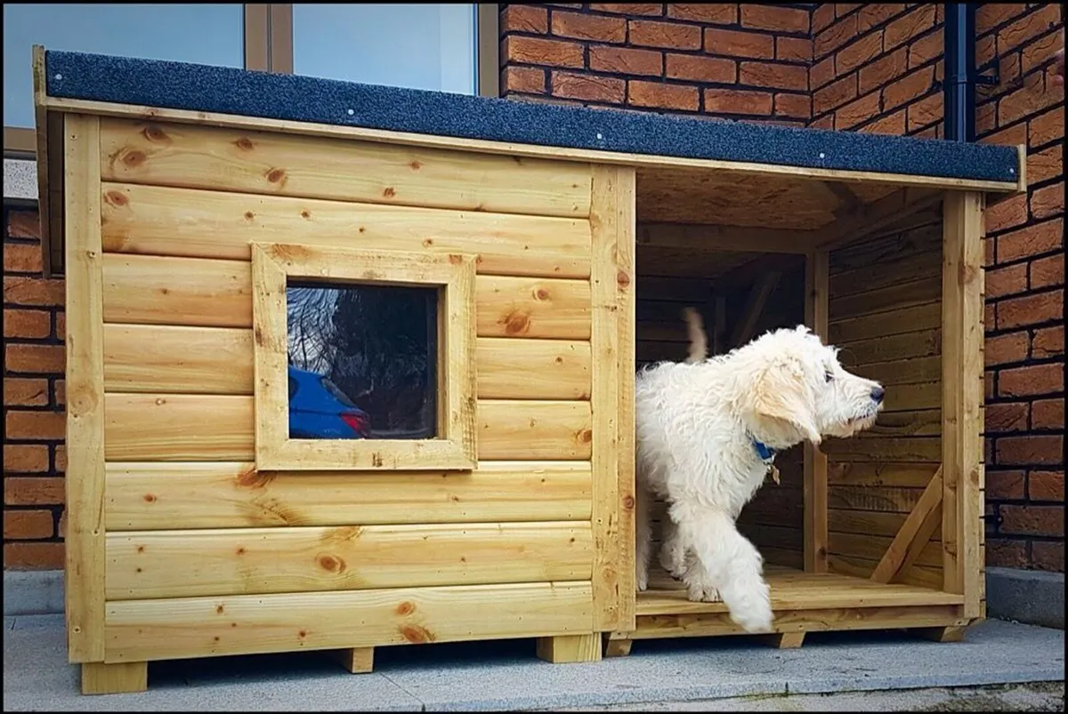 Dog Boxes - Image 4