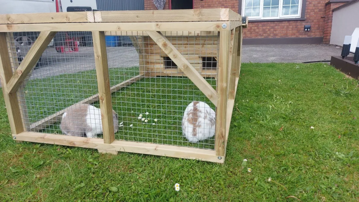 Rabbit Hutch & Enclosure - Image 1