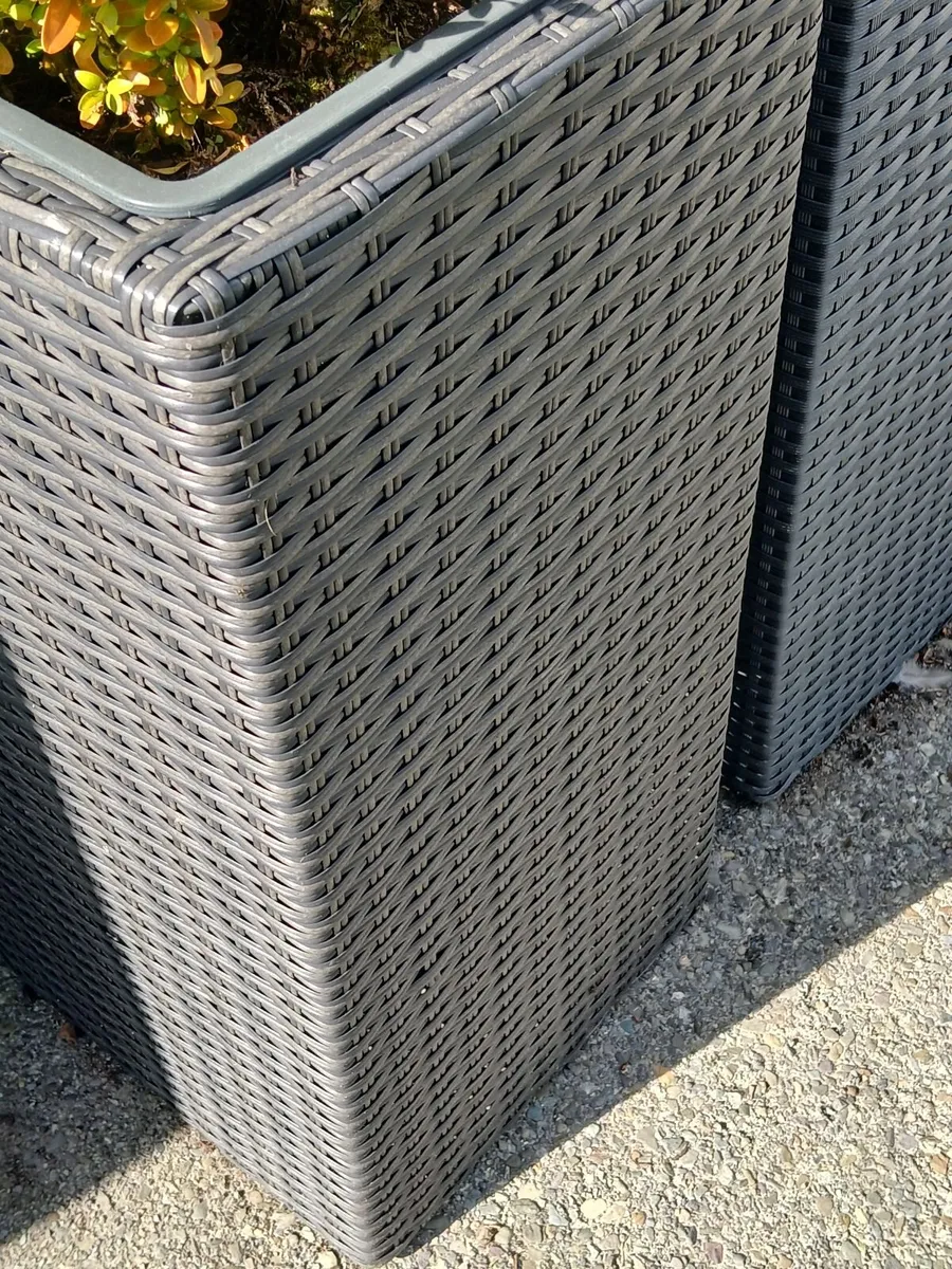4 tall outdoor/indoors Planter - Image 1