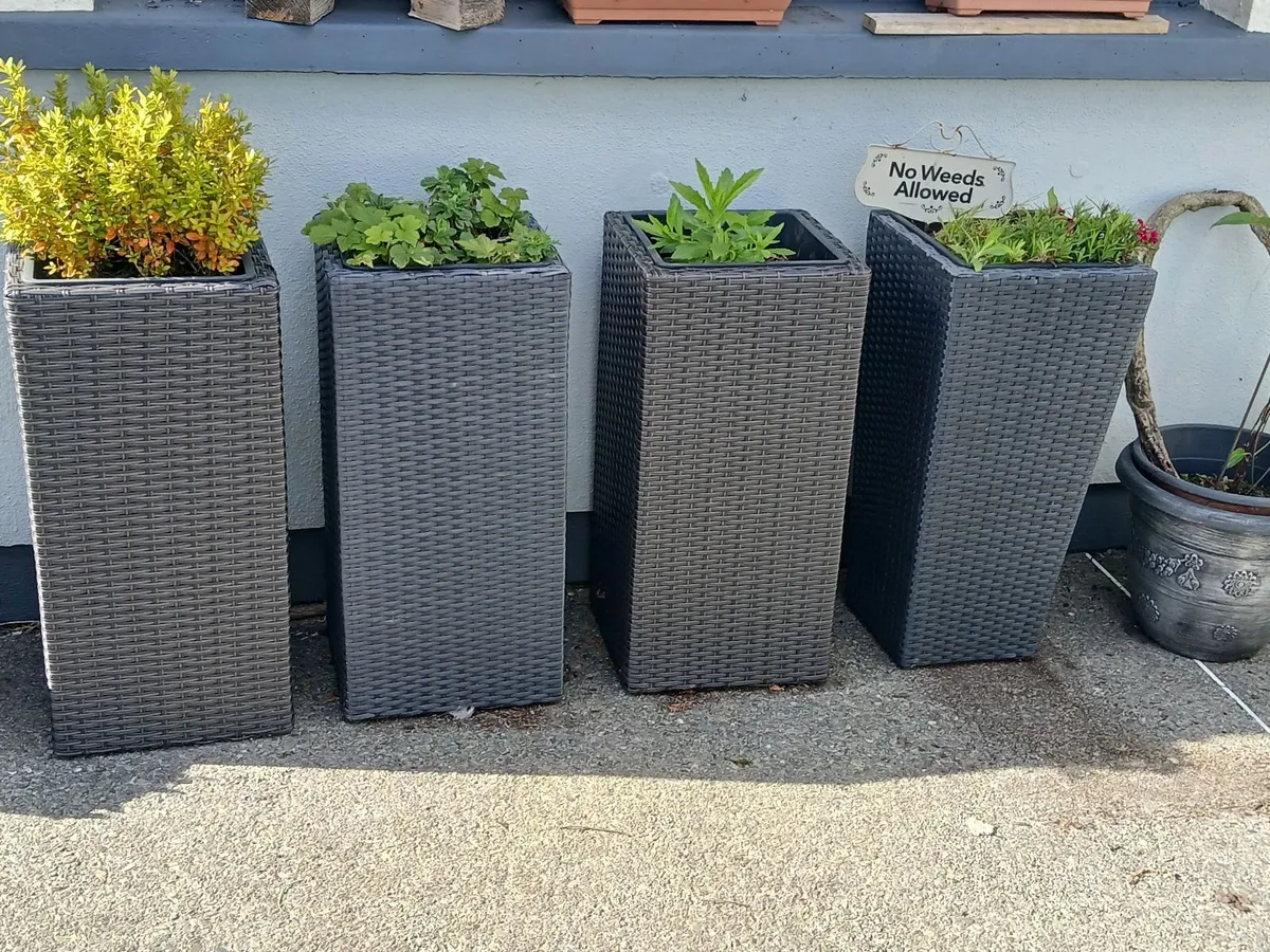 4 tall outdoor/indoors Planter - Image 2