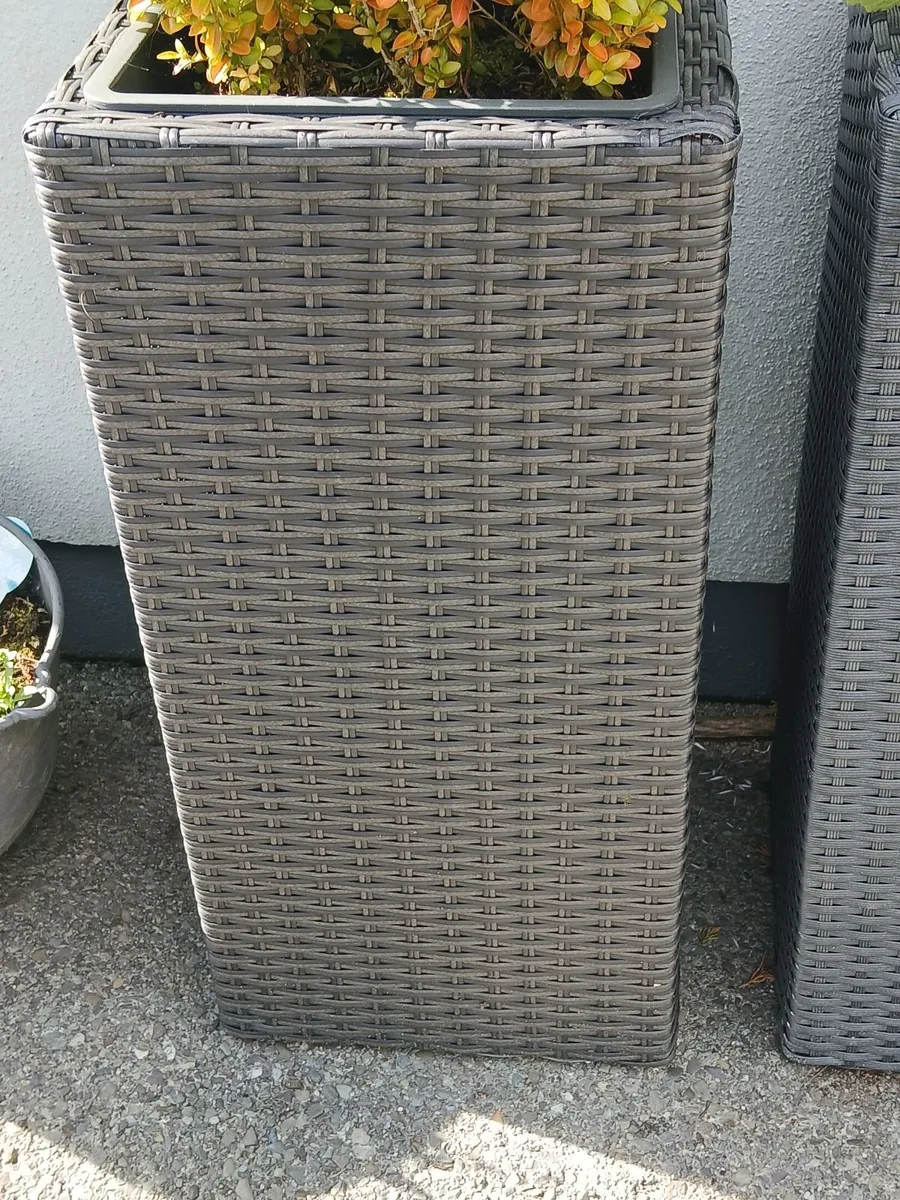 4 tall outdoor/indoors Planter - Image 3