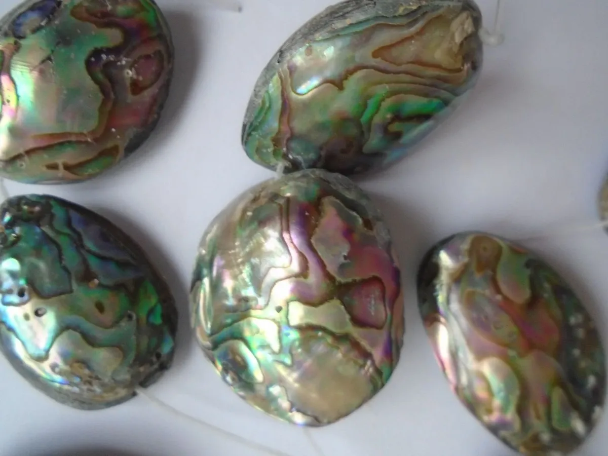 Abalone shell beads, Jewellery making supplies, - Image 3