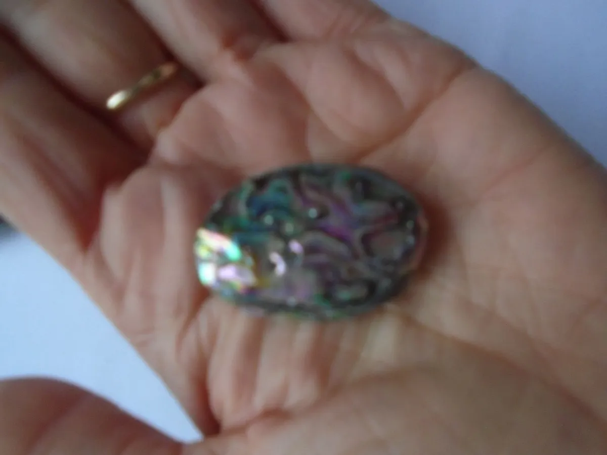 Abalone shell beads, Jewellery making supplies, - Image 2
