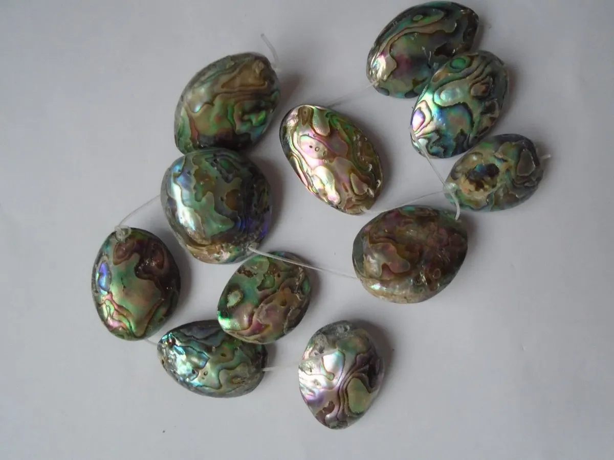 Abalone shell beads, Jewellery making supplies, - Image 4