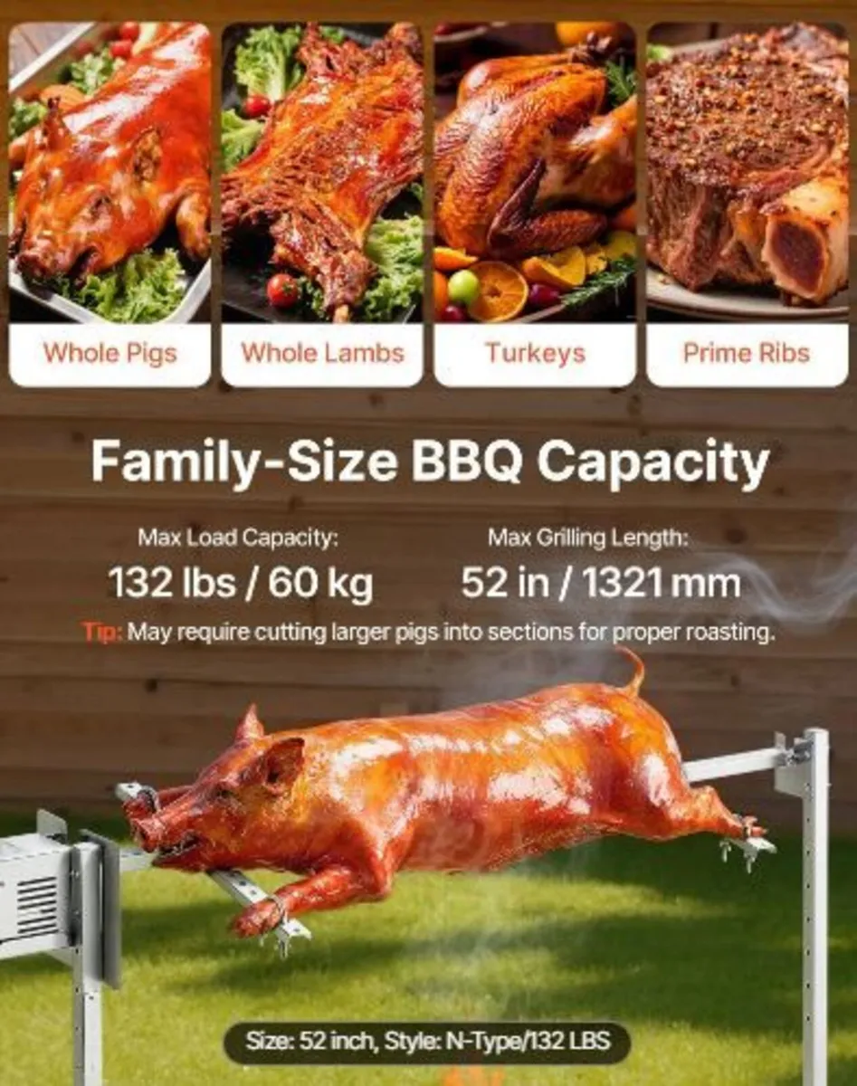 Rotisserie Grill, AC220-240V 8 Level Height - Image 4