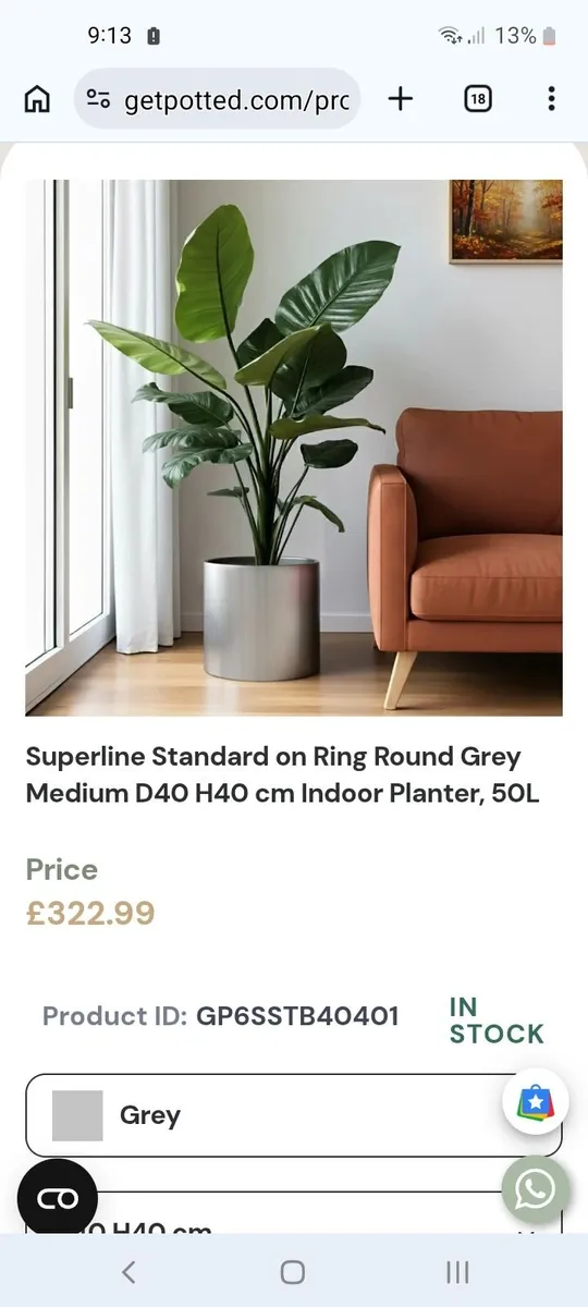 Stainless steel planters - Image 3
