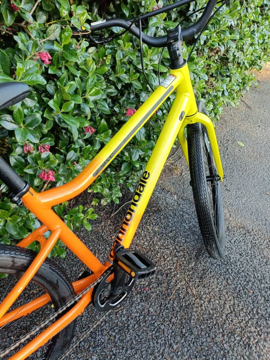 Bicycle  Cannondale treadwell 3 (New bicycle) - Image 3