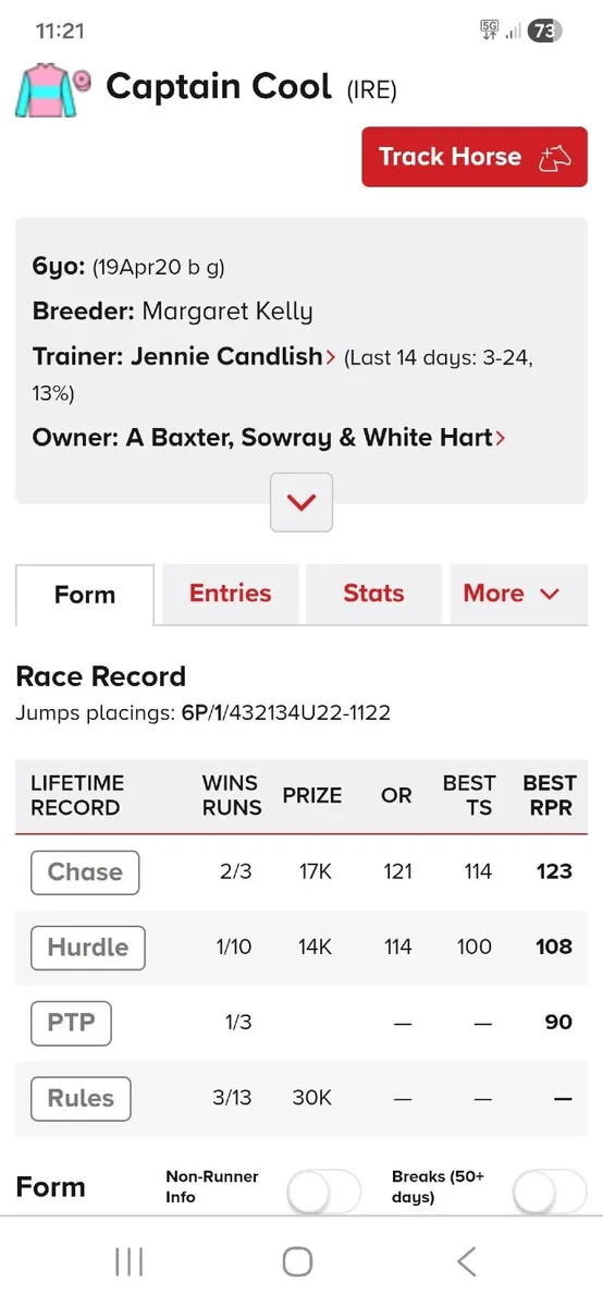 Thoroughbred gelding - Image 1