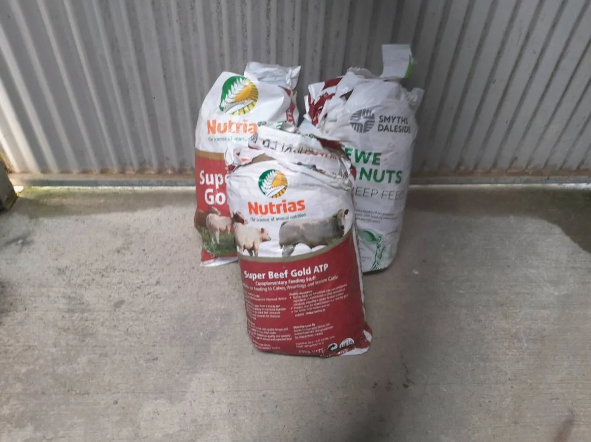 Bags - Image 2