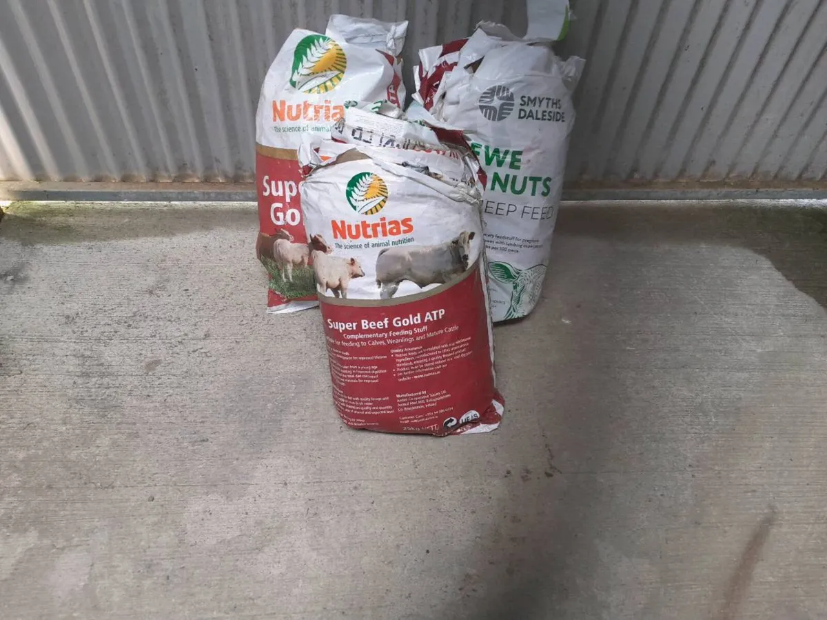 Bags - Image 1