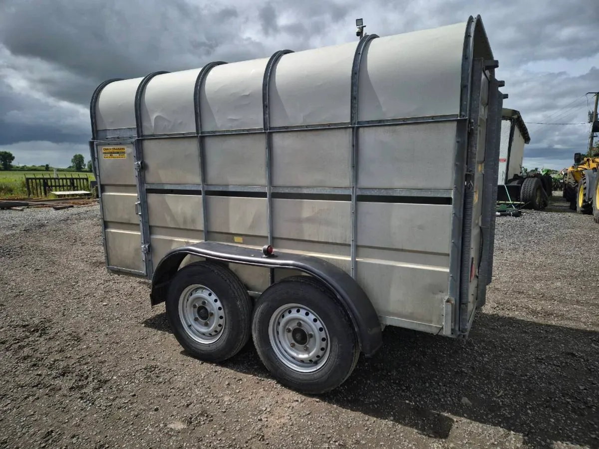 10ft livestock trailer - Image 4