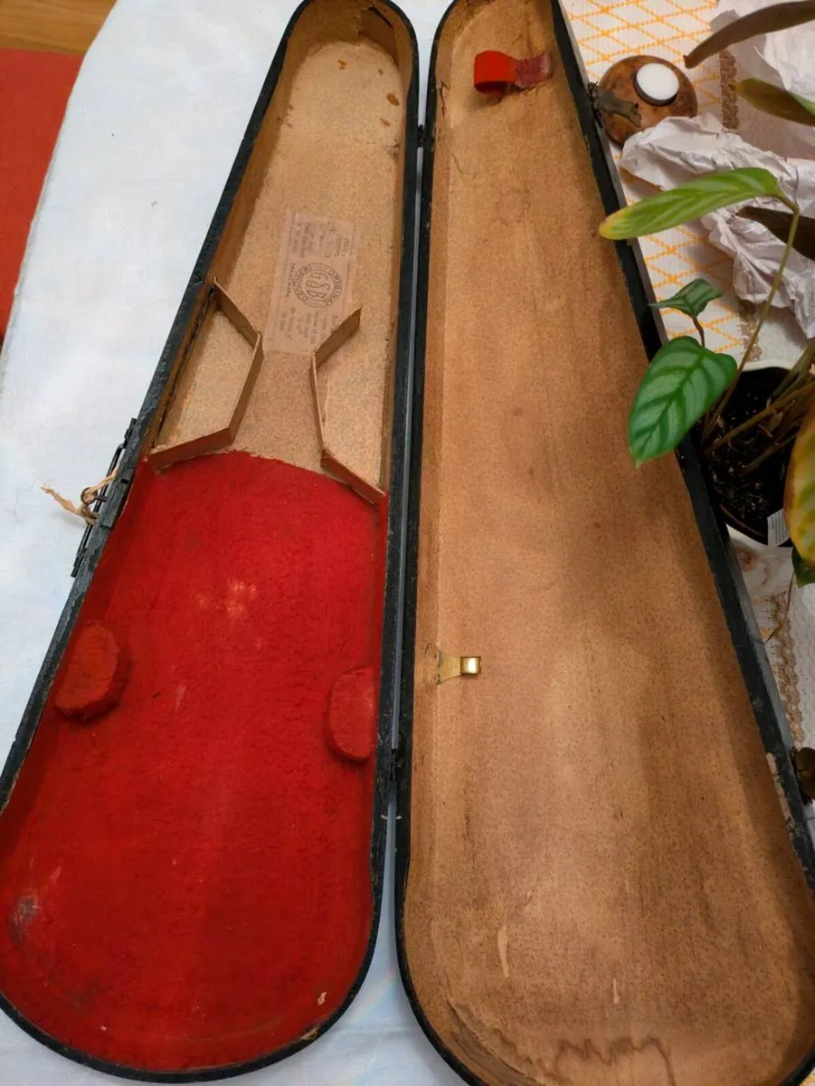 Violine case - Image 2
