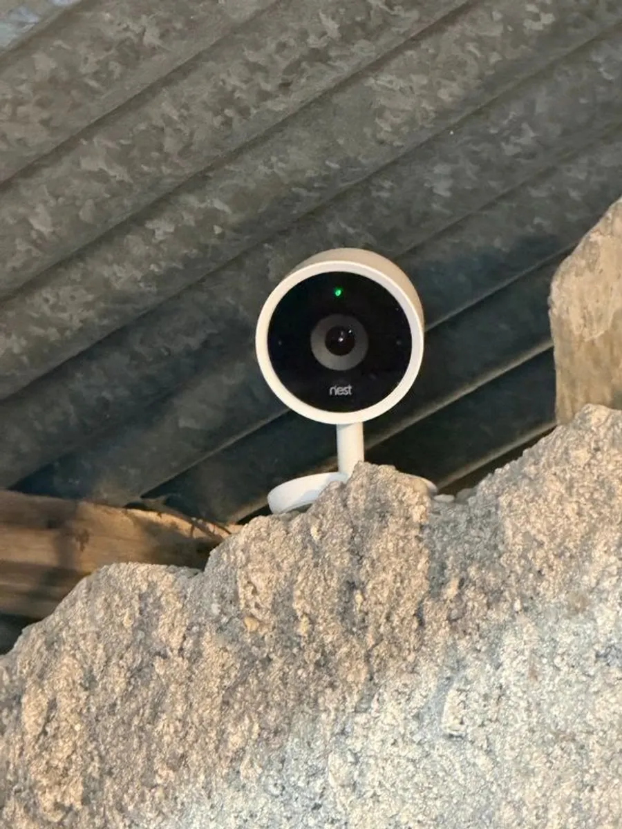 Google Nest Smart Home Bundle - Nest Cam IQ, Nest Hub & Google Home - Image 3