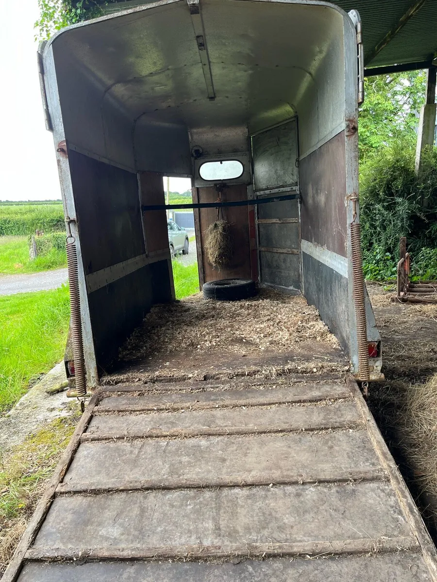 Horse box - Image 3