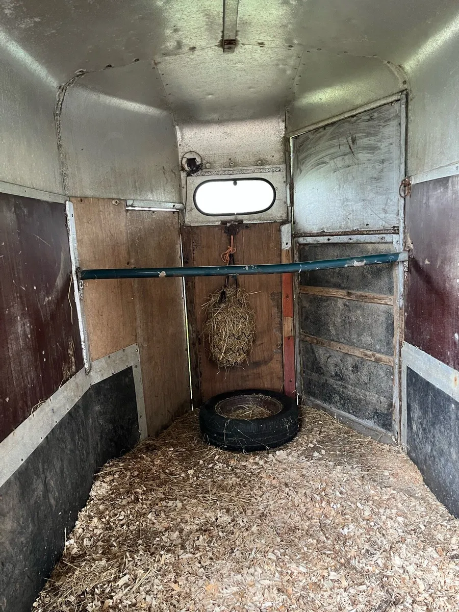 Horse box - Image 4