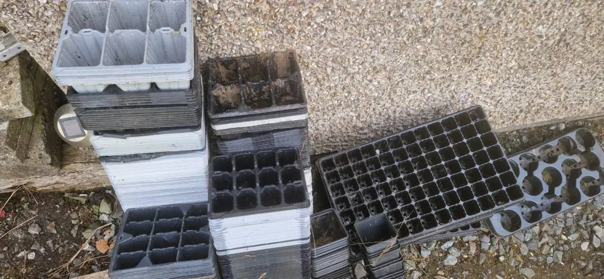 Plant trays pots FREE - Image 1