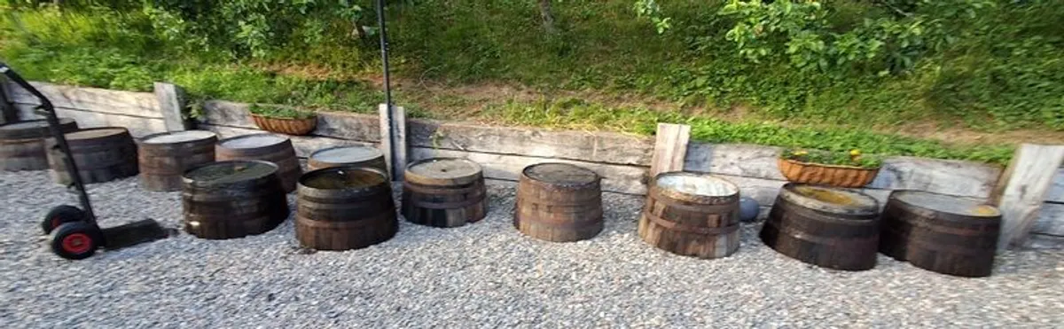 Half Whisky Barrels and Full Barrels for Sale - Image 3