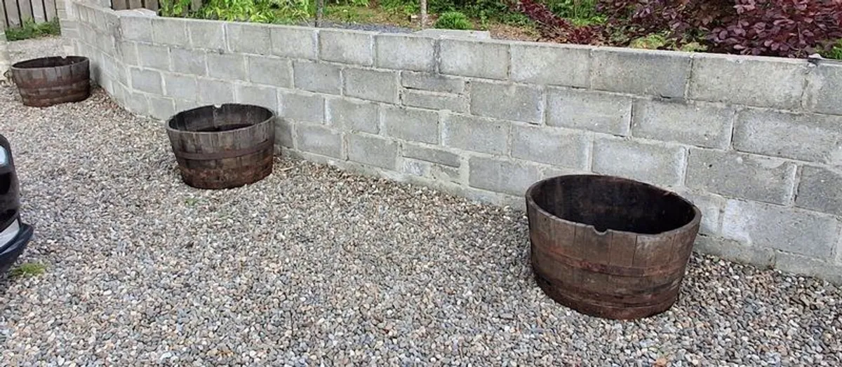 Half Whisky Barrels and Full Barrels for Sale - Image 2