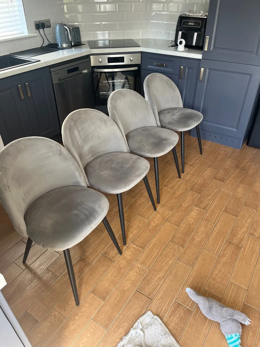 Dining chairs - Image 1
