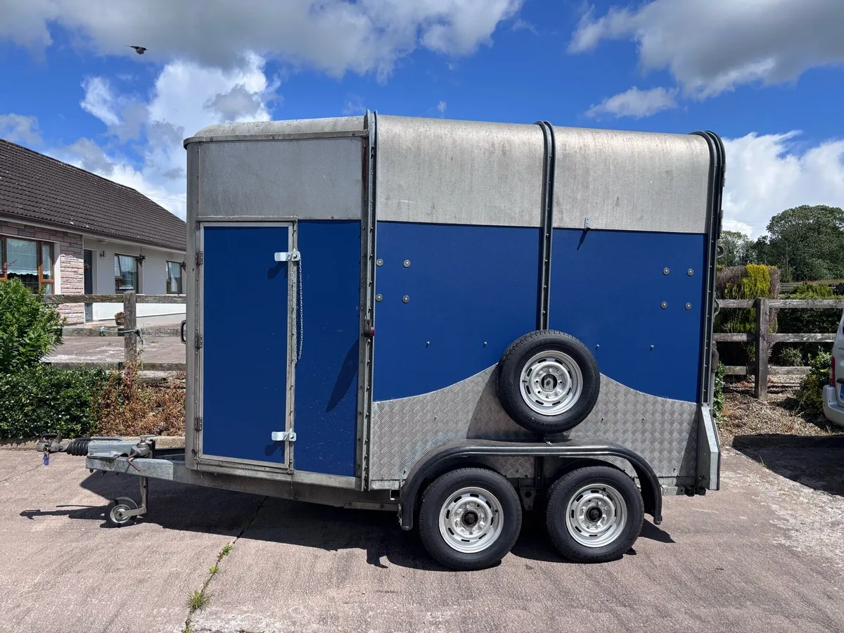 Ifor Williams 505 Horse Box - Image 3