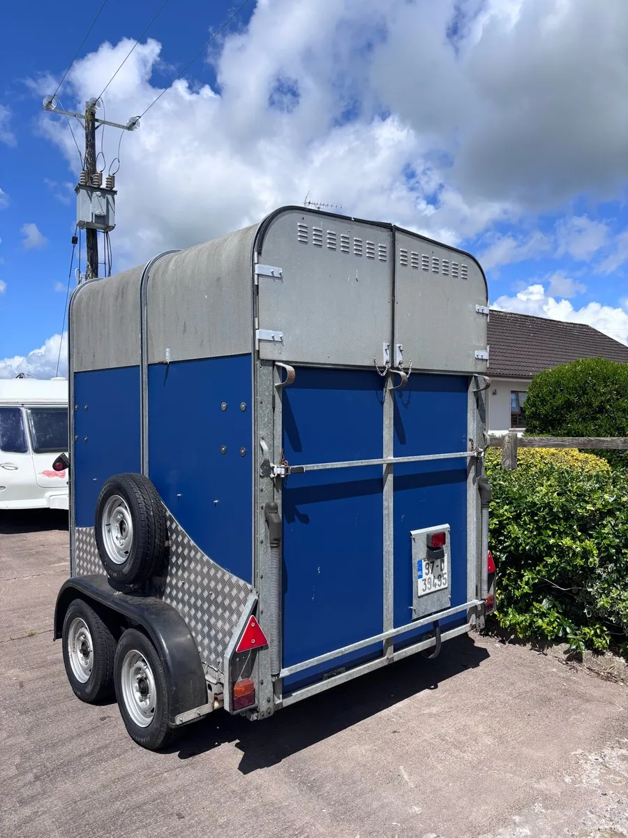 Ifor Williams 505 Horse Box - Image 4