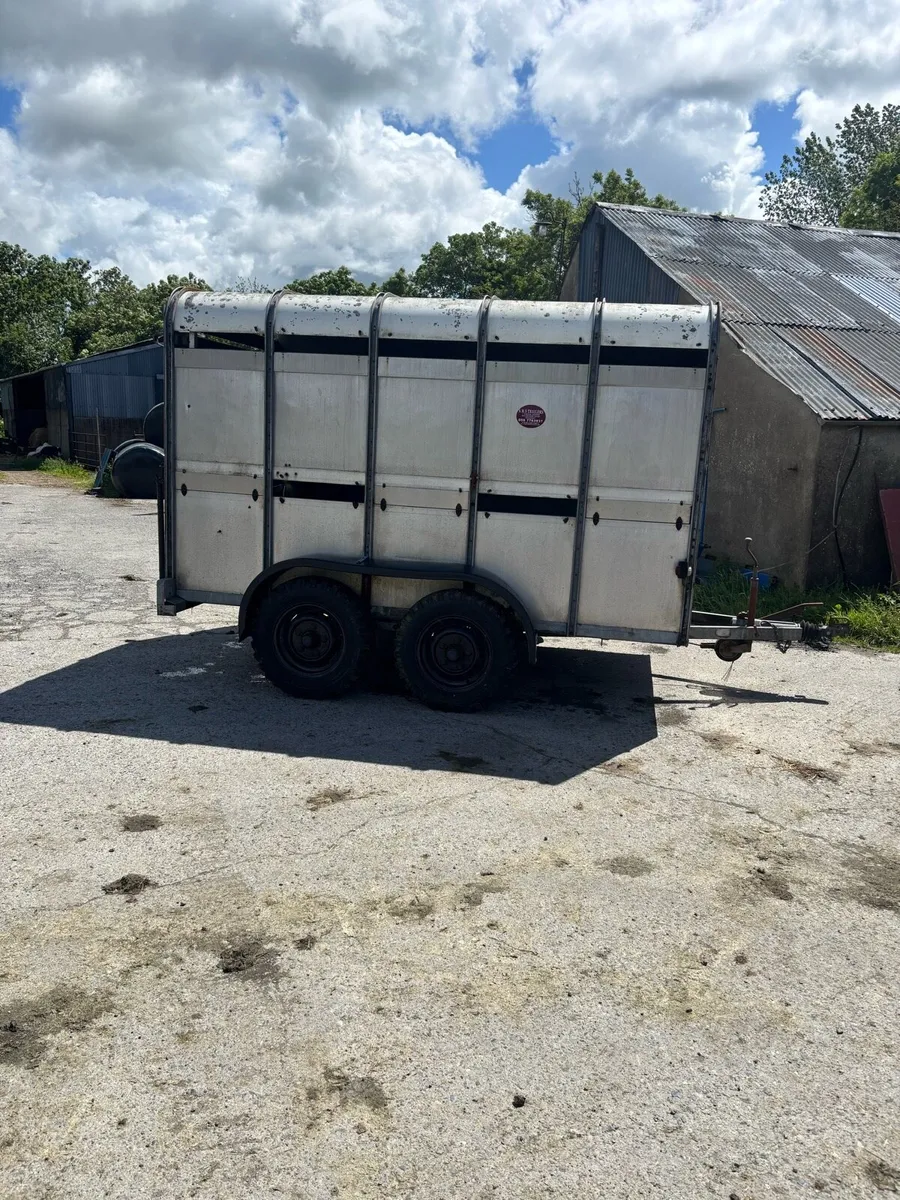 Ifor Williams 10x6 cattle trailer - Image 4