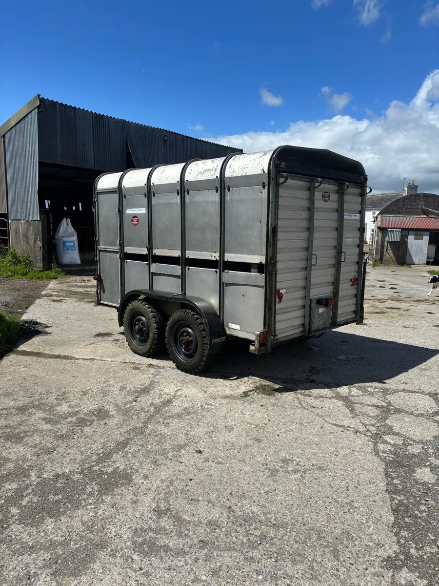 Ifor Williams 10x6 cattle trailer - Image 2