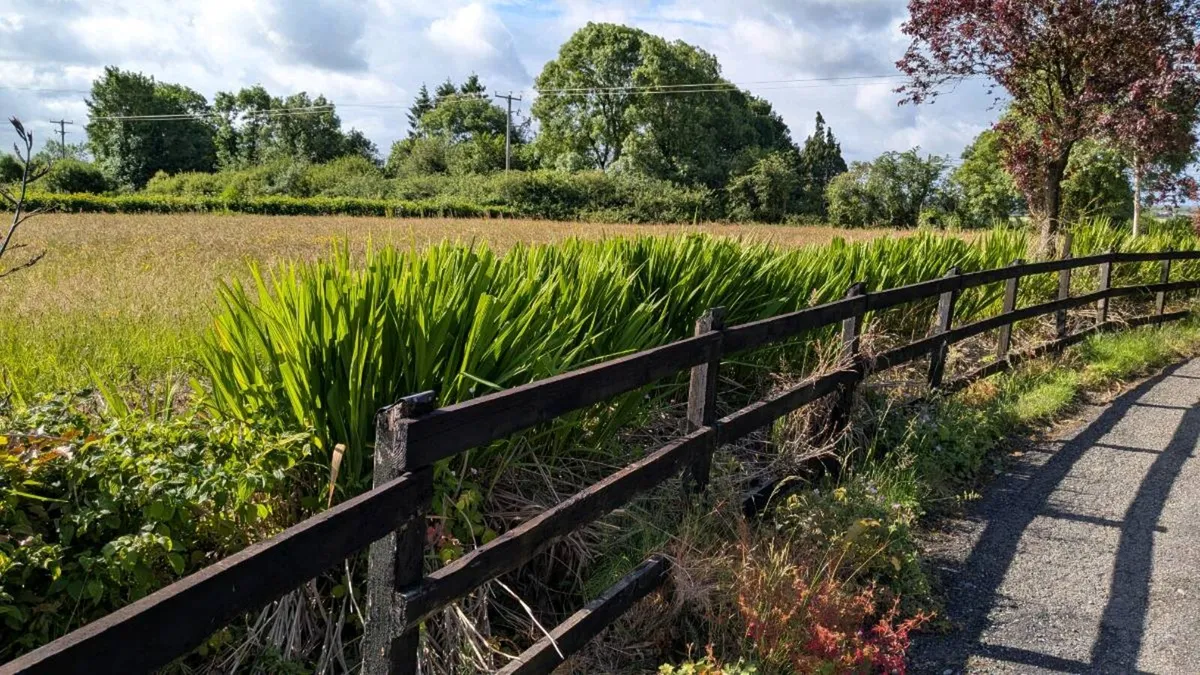Two acres