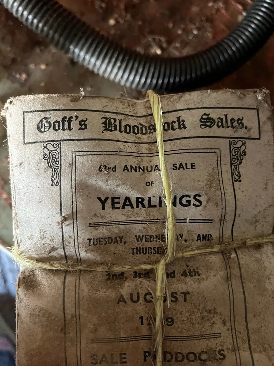 Goffs Blockstock Sales Books - Image 1